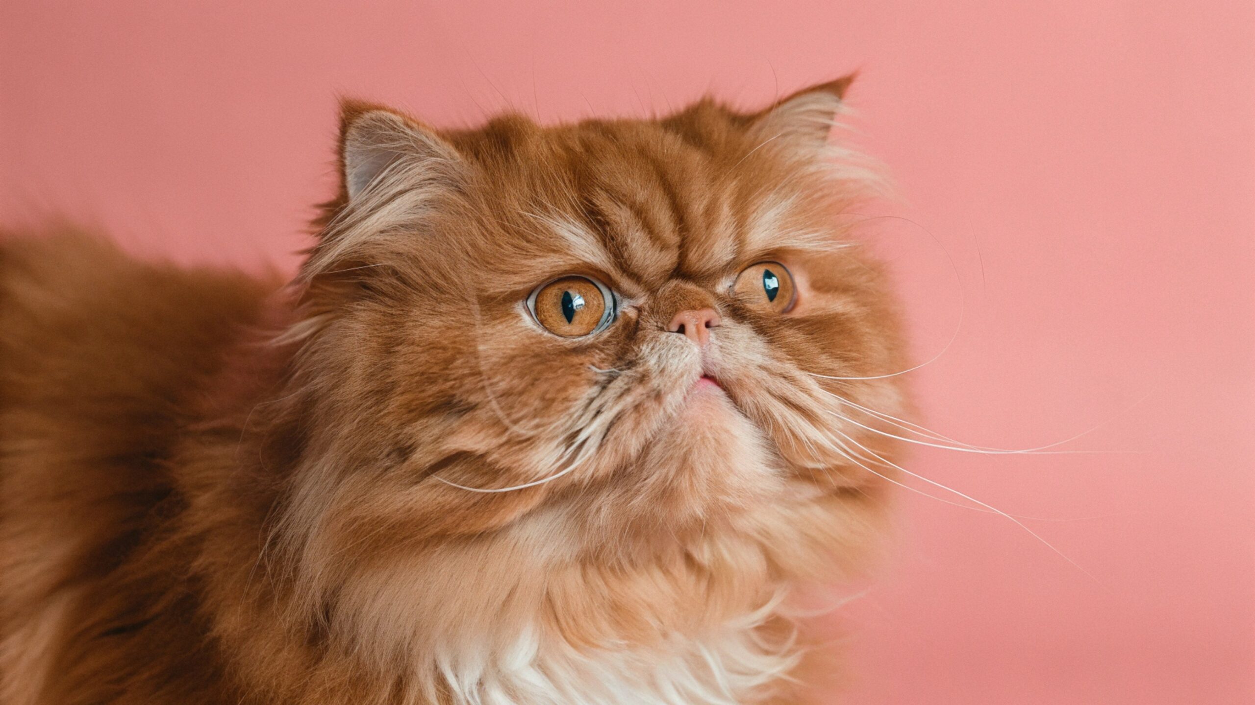 Python и анализ данных в маркетинге